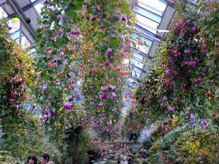 �Ȃ΂Ȃ̗��i�޺Ʊ����Ȱ���)-8