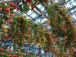 �Ȃ΂Ȃ̗��i�޺Ʊ����Ȱ���)-5