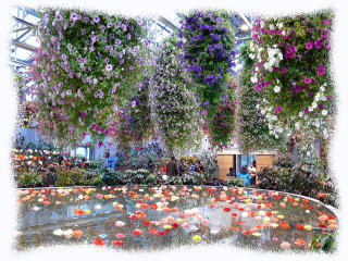 �Ȃ΂Ȃ̗��i�޺Ʊ����Ȱ���)-9