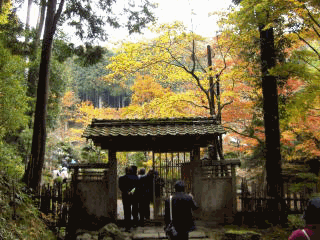 �����{�݁E��Y-7