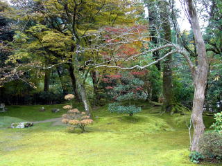 �����{�݁E��Y-10