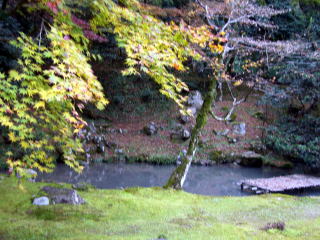 �����{�݁E��Y-9