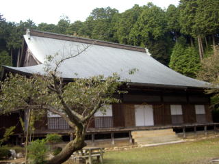 �_�ЁE���t-20