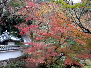 �_�ЁE���t-15