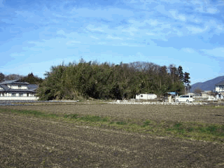 �_�ЁE���t-39