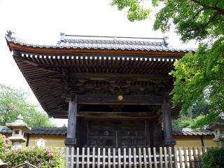 �_�ЁE���t-5