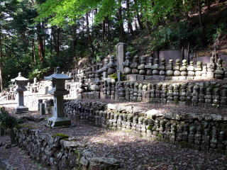 �_�ЁE���t-8