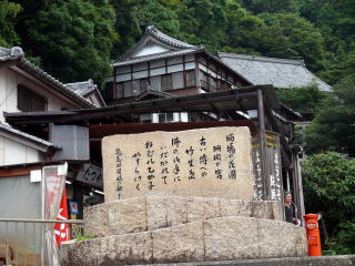 �_�ЁE���t-31