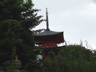 �_�ЁE���t-33