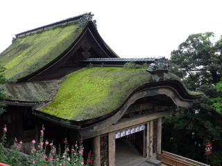 �_�ЁE���t-34