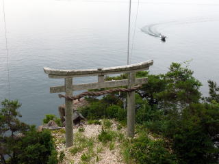 �_�ЁE���t-36