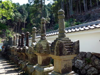 �_�ЁE���t-13