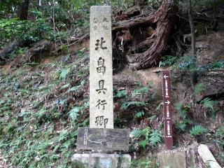 �_�ЁE���t-37