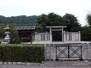 �_�ЁE���t-40