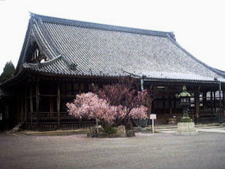 �_�ЁE���t-25