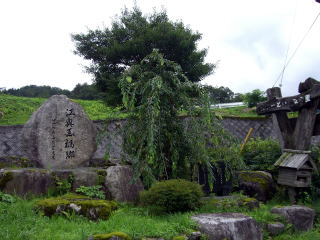 �Č��s�̕���-14