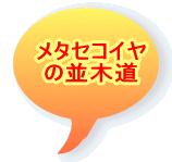 ���^�Z�R�C���̕��ؓ�