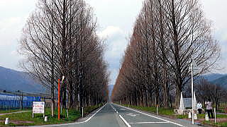 �J�^�N���̉�-6