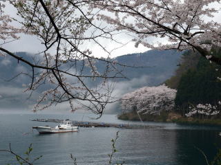 �C�Ñ���-5