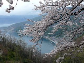 �C�Ñ���-7