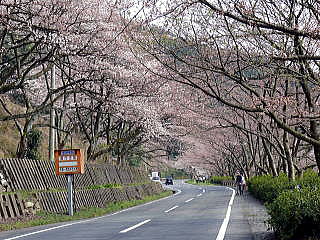 �C�Ñ���-1