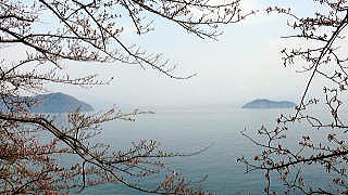 �C�Ñ���-6