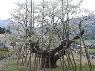 ���n�̍�-1