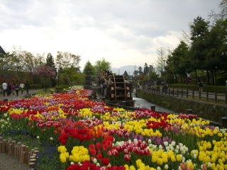 �`���[���b�v-1