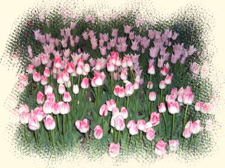 �`���[���b�v-2