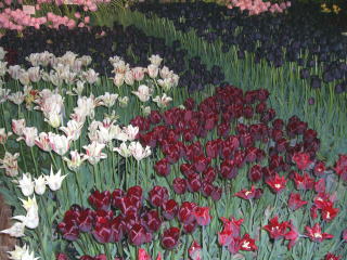 �`���[���b�v-7