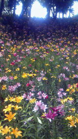 �������-5