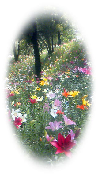 �������-2