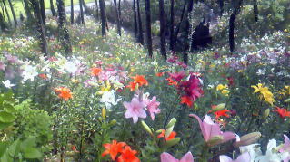 �������-7