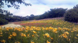 �������-4