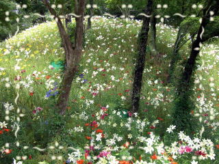 �������-1