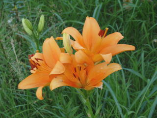 ���َR���-11