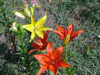 ���َR���-5