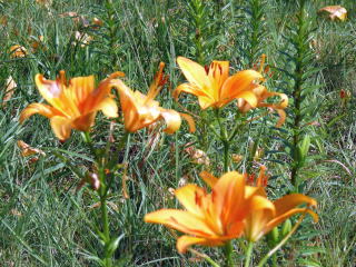 ���َR���-2