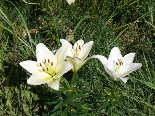 ���َR���-3