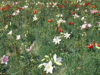 ���َR���-4