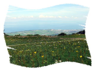 ���َR���-10