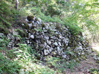 ���T�����ʐ^-5