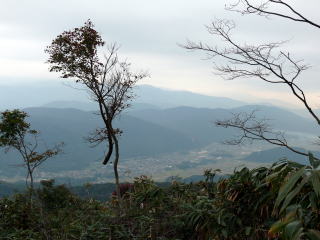 �˃��x�̐킢-24