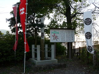 �փ����̐킢-26