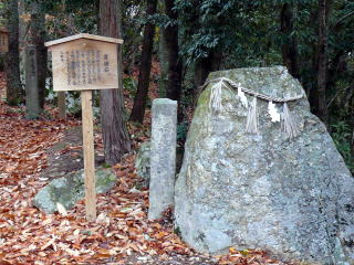 ���T�����ʐ^-2