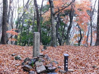 ���T�����ʐ^-4