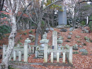 ���T�����ʐ^-1