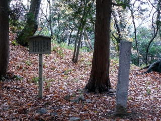 ���T�����ʐ^-3