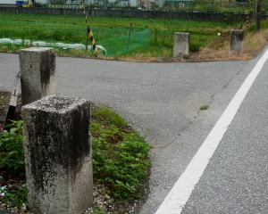 �o�썇��ʐ^-20