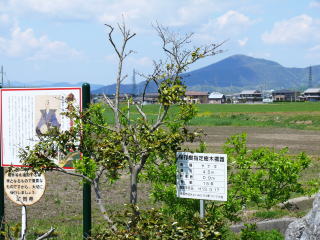 �o�썇��ʐ^-11